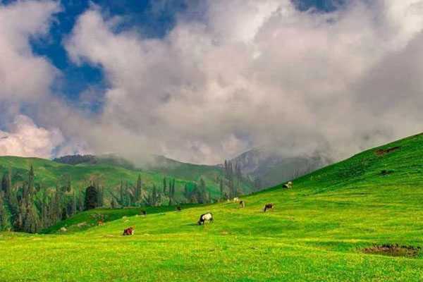 2 Days Shogran Siripaye And Khanpur Tour