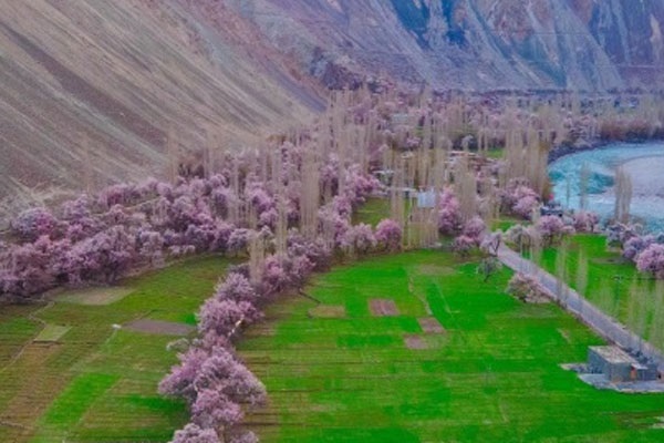 7 Days Shiger Skardu And Deosai Tour Package