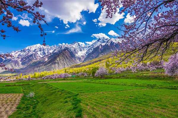 8 Days Hunza And Shiger - Skardu Tour Package